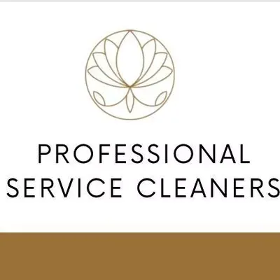 Professional Service Cleaners