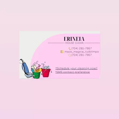 ERINEIA house cleaning