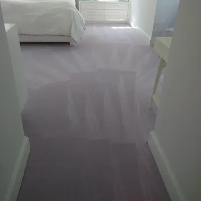 Carla Cleaning