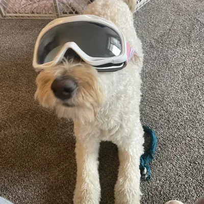 Aldo’s handyman