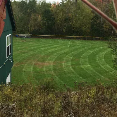 The little landscaper