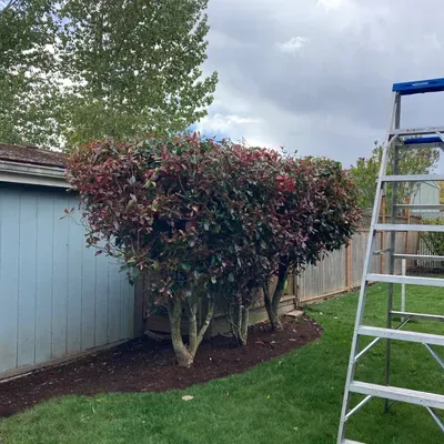 Oregon’s Affordable Yard Care LLC