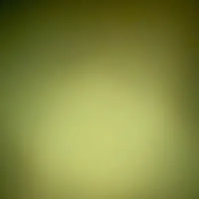 The hustle cleaning