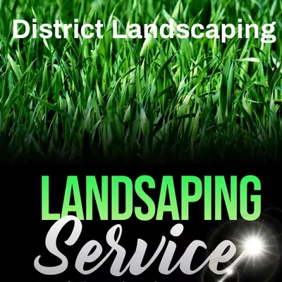 District ground management