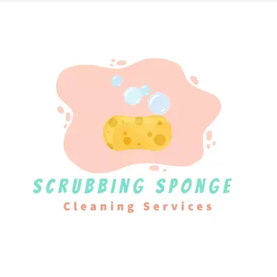 Scrubbing Sponge
