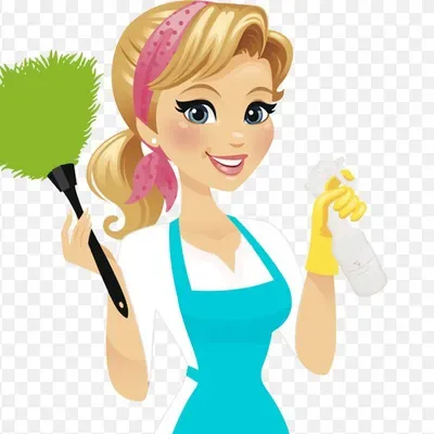 Master Cleaning