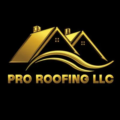 Pro Roofing LLC