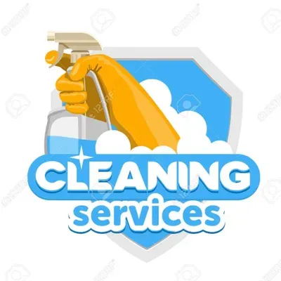 Squeaky Clean Service