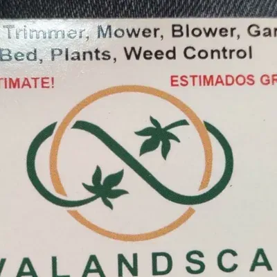 Olivalandscape