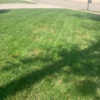 Ottinger lawn care