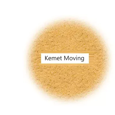 THE KEMET COMPANY