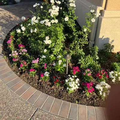Maple outdoor services