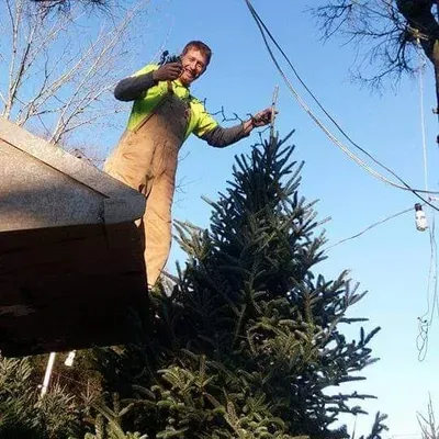 Handydan