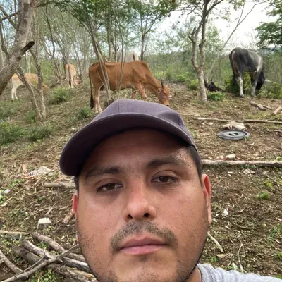 TORO landscaping LLC