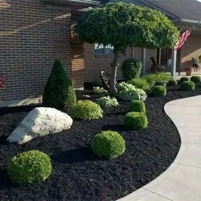 GARDEN SERVICE H.V  SERVICE LANDSCAPE SERVICE TREE