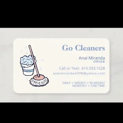 GO CLEANERS
