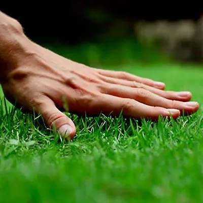 McGee Heating & Air Conditioning