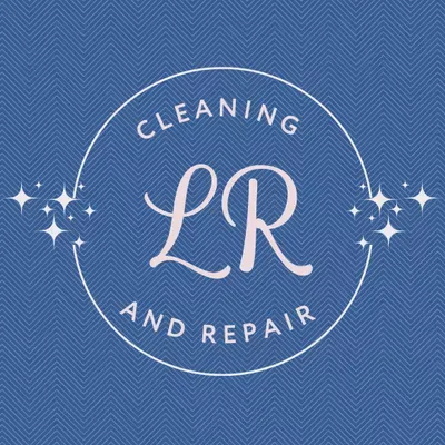LR Cleaning and Repair Solutions LLC
