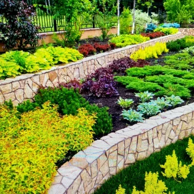 Transition Landscaping