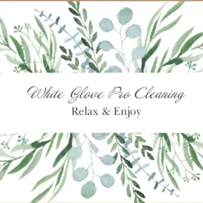 White Glove Pro Cleaning