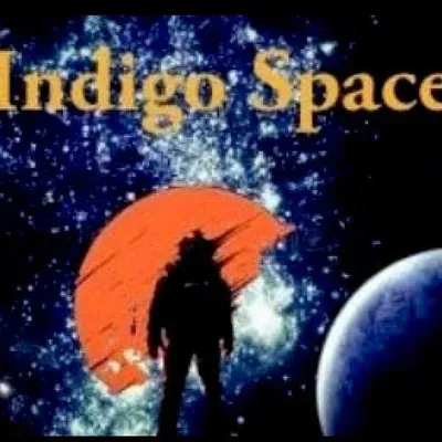 Indigo Space LLC