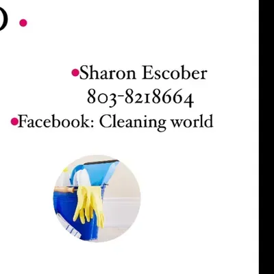 THE CLEANING WORLD