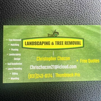 Landscape and tree removal pros