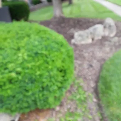 Stay green landscaping