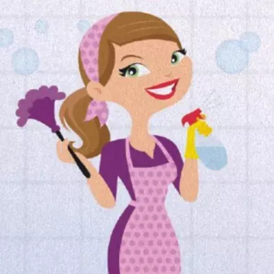Cleaning fairies