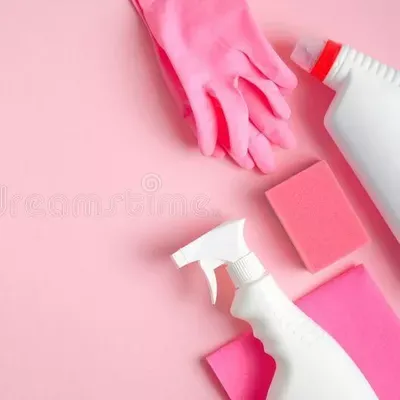 Nicole’s Cleaning Service