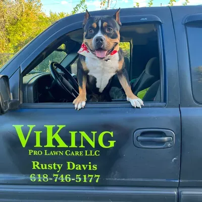 ViKing Pro Lawn Care LLC