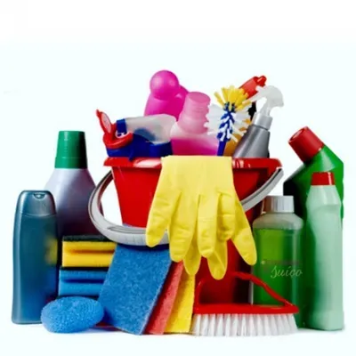 Cleaning Service