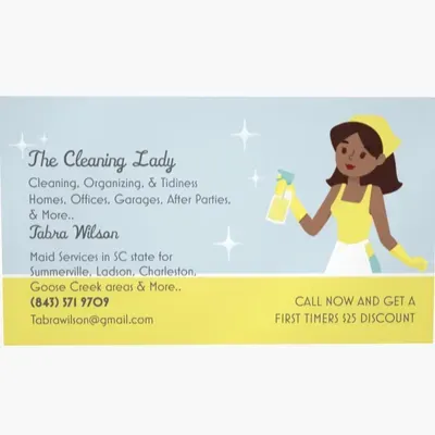 The Cleaning Lady
