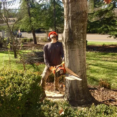 Summit Handyman & Tree Service
