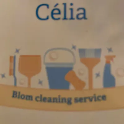 Blom cleaning service