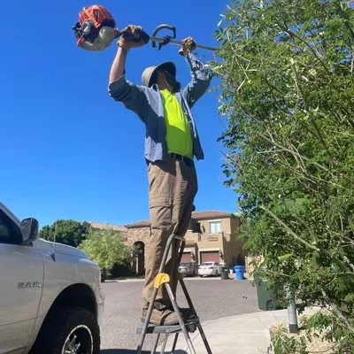 Tlacuache Landscaping