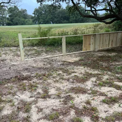 Rumaldo Lsc and tree work