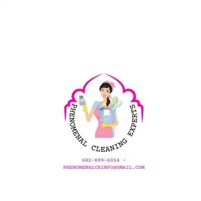 Phenomenal Cleaning Experts