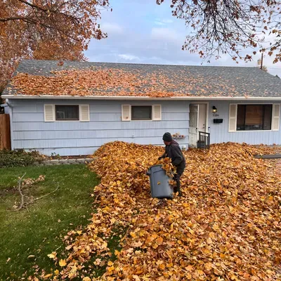 JJ Lawn care