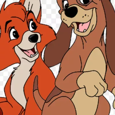 Foxx and The Hound Moving Services