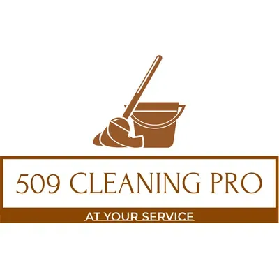 509 Cleaning Pro