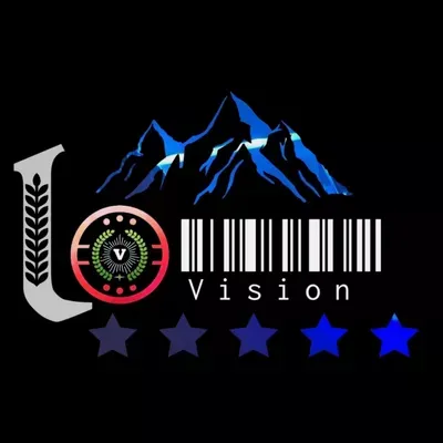 L visión llc