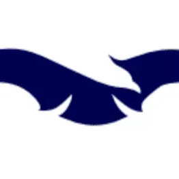 Eagle Eye Cleaning LLC
