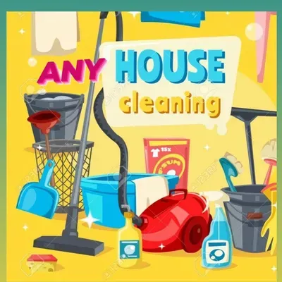 Any house cleaning services