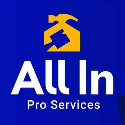 All In Pro Services Llc