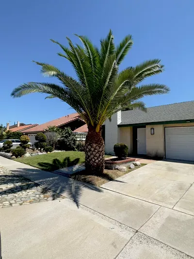 All in one landscaping