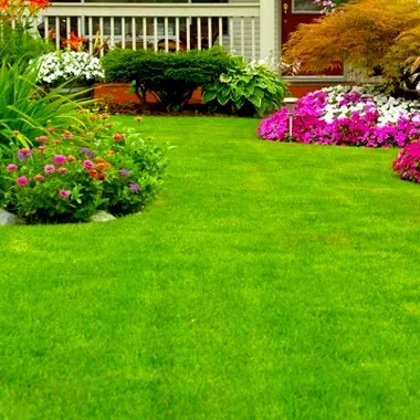 Foster Brothers Lawn Care