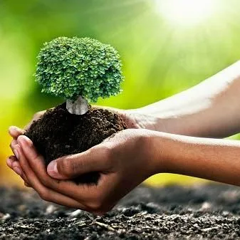 AVT Landscaping
