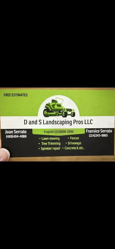 D and S Landscaping Pros LLC