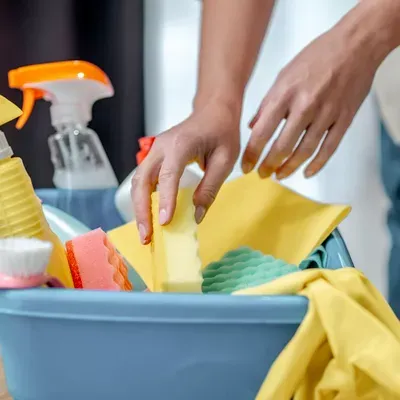 House Cleaners
